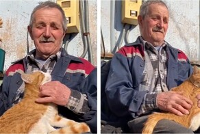 Маленькое тихое счастье