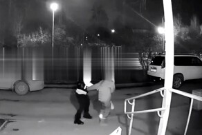 Пьяная женщина избила сына у подъезда