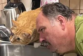 28 фотодоказательств того, что вселенная обладает превосходным чувством юмора