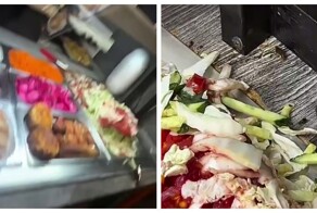 Тараканы лакомятся начинкой для шаурмы