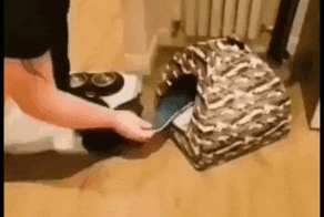 Просто гифки, всякие и&nbsp;разные