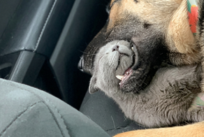 Тихий и спокойный сон