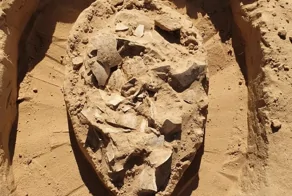 Археологи нашли в израильской пустыне запас страусиных яиц, которым 7000 лет