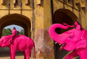 Девушка покрасила слона в розовый цвет и возмутила индусов