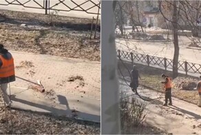 Химкинские дворники сыграли с листьями в игру «до и после»
