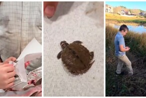 Отец и сын нашли внутри рыбы живого черепашонка