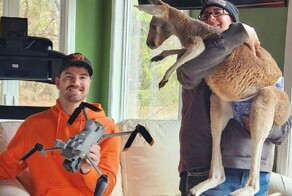 Кенгуру перепрыгнул через высокий забор и удрал из контактного зоопарка