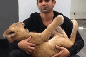 Просто гифки, всякие и&nbsp;разные