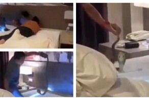 Кобра заползла в номер отеля в Таиланде