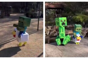 Мама и сын закосплеили персонажей Minecraft