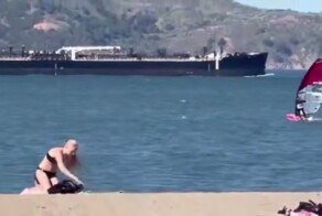 Виндсерфер врезался в кита в США