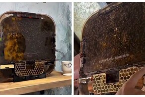 Пчелиные ульи, которые можно поставить дома