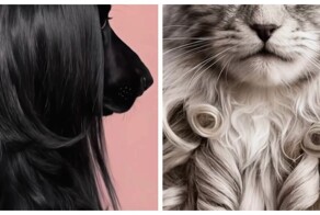 Стайлеры для кошек, собак и лошадей