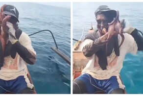 Осьминог вцепился в лицо рыбака