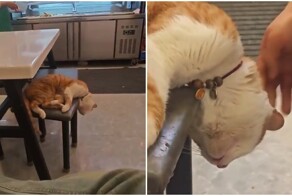 Максимальная забота о клиенте