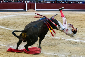 В Мадриде матадор получил тяжёлый удар от быка