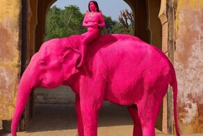 Россиянку обвинили в гибели слона, которого она покрасила в розовый цвет для фотосессии