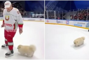 Шпиц Умка вышел на лёд вместе с Александром Лукашенко