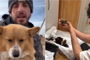 Астраханский фермер из Дагестана делится жизнью на ферме