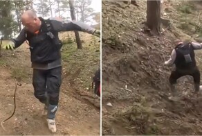 С такими друзьями врагов не нужно