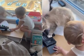 Воспитание с элементом наказания