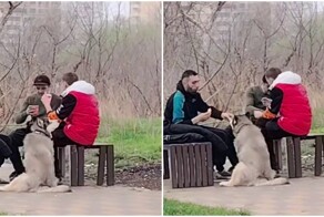 Локи нашёл себе мужскую компания