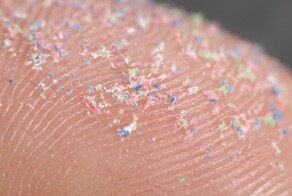 Великая пластиковая афера: как обычные перчатки годами пудрили мозги ученым