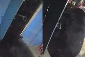 Медведь ночью устроил "ревизию" в магазине