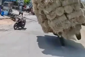 ДТП на перекрёстке: мужчина оказался под сеном