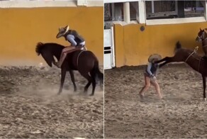 Лошадь укусила и ударила ковбоя на соревнованиях в Техасе