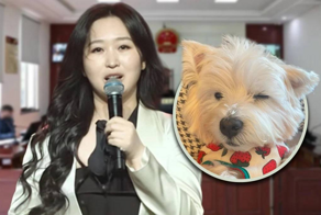 В Пекине сосед отравил собаку: виновного наказали после нескольких лет разбирательств