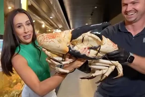 Краб атаковал журналистку в эфире — её «месть» удивила зрителей