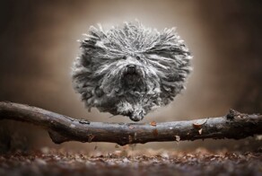 На общую тему&nbsp;