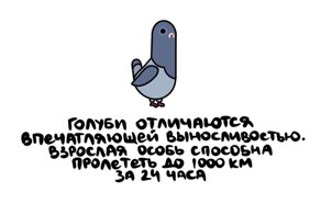 А вдруг ты не знал…