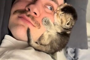 Уважительная причина опоздания на работу