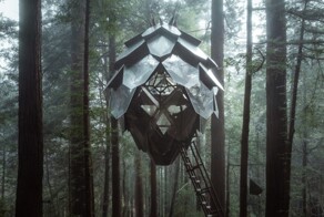 Дом на дереве в виде сосновой шишки