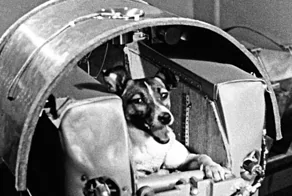 17 исторических кадров, которые вы могли пропустить