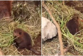 Первый день на работе