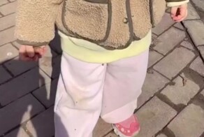 Клещи вовсю атакуют посетителей московских парков