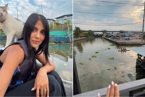 Каякинг с котами: необычная экскурсия по каналам Бангкока