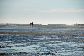 Ваттовое море: зыбучая тропа Атлантики