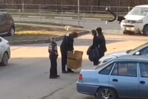 Отлетел, как мячик