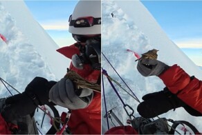 Альпинисты спасли замерзающую птицу в Гималаях