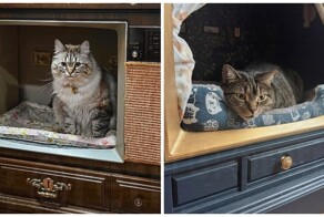 Лежанки из старых телевизоров и радиоприёмников