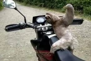 25 реальных жизненных моментов, которые невозможно выдумать