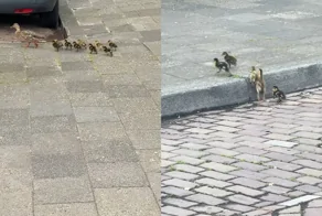 Когда природа вносит свои коррективы