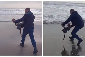 Сотрудник заповедника спас выброшенного на берег ската