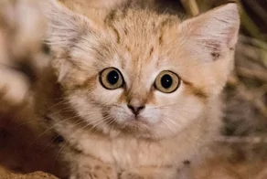 25 снимков природы, от которых перехватывает дыхание