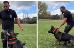 Кинолог продемонстрировал впечатляющую дрессировку служебной собаки