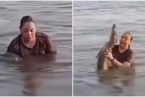 Женщина приняла каймана за кусок дерева